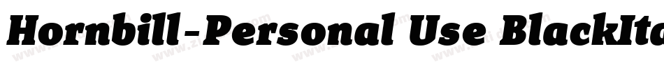 Hornbill-Personal Use BlackItalic字体转换